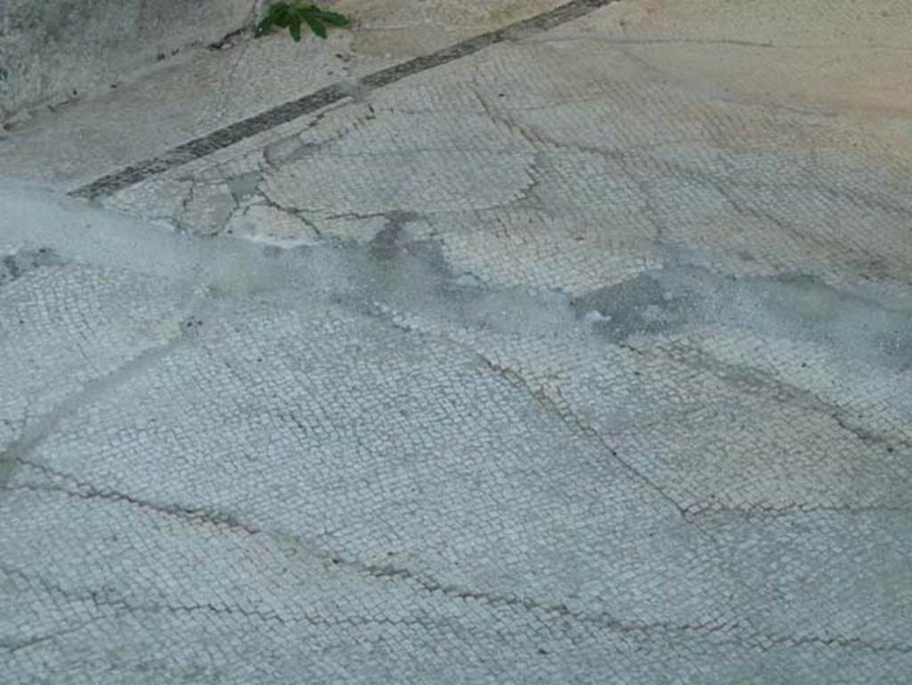 Stabiae, Secondo Complesso, September 2015. Room 16, white mosaic flooring surrounded by black border. 