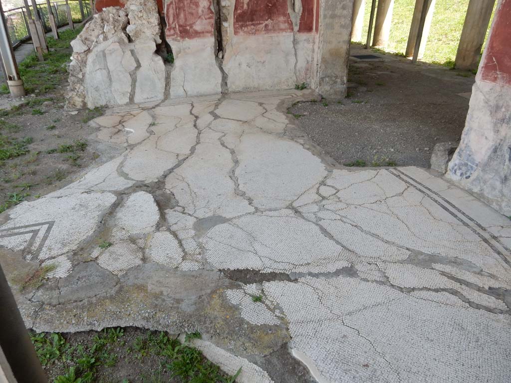 Stabiae, Secondo Complesso, June 2019.
Room 12, looking east across flooring (with remaining part of central emblema, on left) with doorway to room 1, peristyle, on right.
Photo courtesy of Buzz Ferebee.