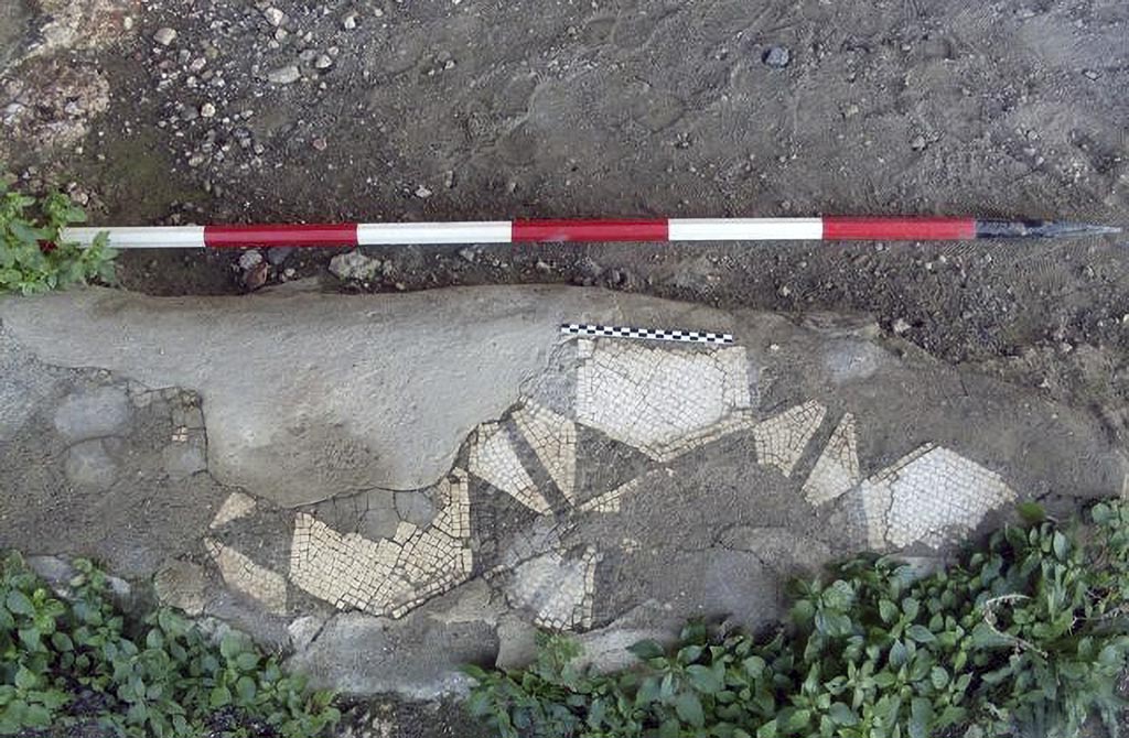Stabiae Secondo Complesso ambiente 11. 2015.
Photo courtesy of Carmela Ariano, Varano, Secondo Complesso, ambiente di soggiorno 11, tessellato bicromo, in TESS – scheda 18029.
http://tess.beniculturali.unipd.it/web/scheda/?recid=18029
Use: CC BY-NC-SA 2.5
See PISAPIA, M. S. 1989, in Mosaici antichi in Italia, Regione prima. Stabia, Roma, p. 55, tavv. XXXII-XXXV.