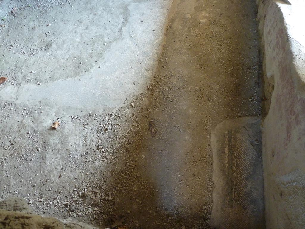 Stabiae, Villa Arianna, September 2015. Room M, remains of a small part of the mosaic floor.
