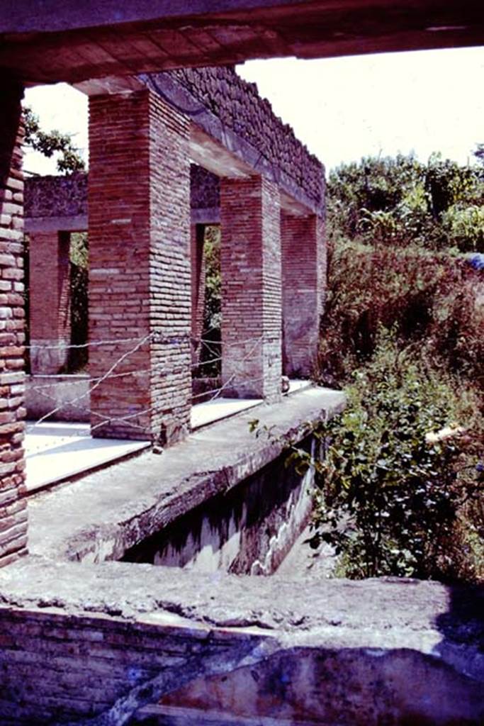 Villa Arianna, 1976. Looking south across sunken garden on west side of summer triclinium. Photo by Stanley A. Jashemski.
Source: The Wilhelmina and Stanley A. Jashemski archive in the University of Maryland Library, Special Collections (See collection page) and made available under the Creative Commons Attribution-Non Commercial License v.4. See Licence and use details. J76f0521