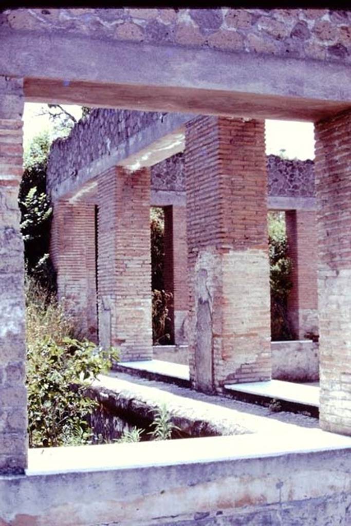 Stabiae, Villa Arianna, 1976. Looking south from the loggia towards the great windowed exedra, with a sunken garden on its east side.
Photo by Stanley A. Jashemski.
Source: The Wilhelmina and Stanley A. Jashemski archive in the University of Maryland Library, Special Collections (See collection page) and made available under the Creative Commons Attribution-Non Commercial License v.4. See Licence and use details.
J76f0511
According to Wilhelmina, “the large summer triclinium got its light and air from the small rectangular sunken gardens on each side of it that appear to continue around the back of the room, but this area has not been excavated”.
See Jashemski, W. F., 1993. The Gardens of Pompeii, Volume II: Appendices. New York: Caratzas, (p.309)