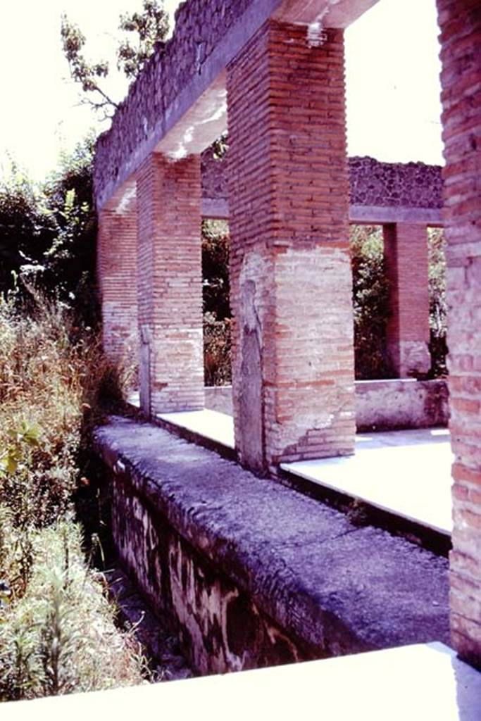 Villa Arianna, 1976. Looking south along east side of summer triclinium. Photo by Stanley A. Jashemski.
Source: The Wilhelmina and Stanley A. Jashemski archive in the University of Maryland Library, Special Collections (See collection page) and made available under the Creative Commons Attribution-Non Commercial License v.4. See Licence and use details. J76f0522