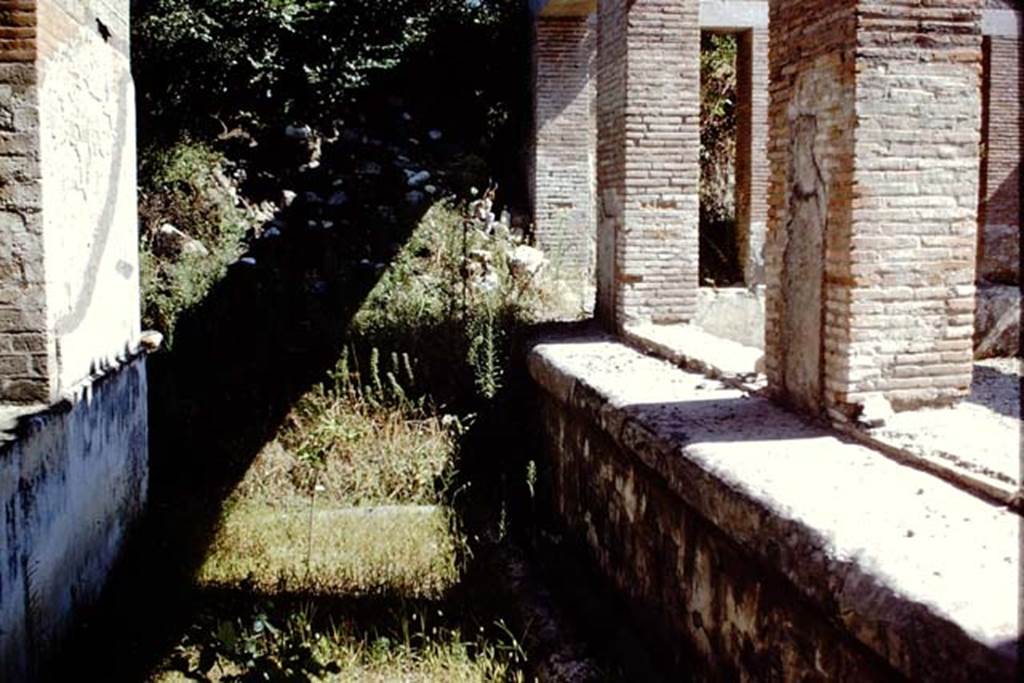 Villa Arianna, 1968, Looking south across sunken garden on east side of windowed exedra, on right. Photo by Stanley A. Jashemski
Source: The Wilhelmina and Stanley A. Jashemski archive in the University of Maryland Library, Special Collections (See collection page) and made available under the Creative Commons Attribution-Non Commercial License v.4. See Licence and use details. Jmis0094