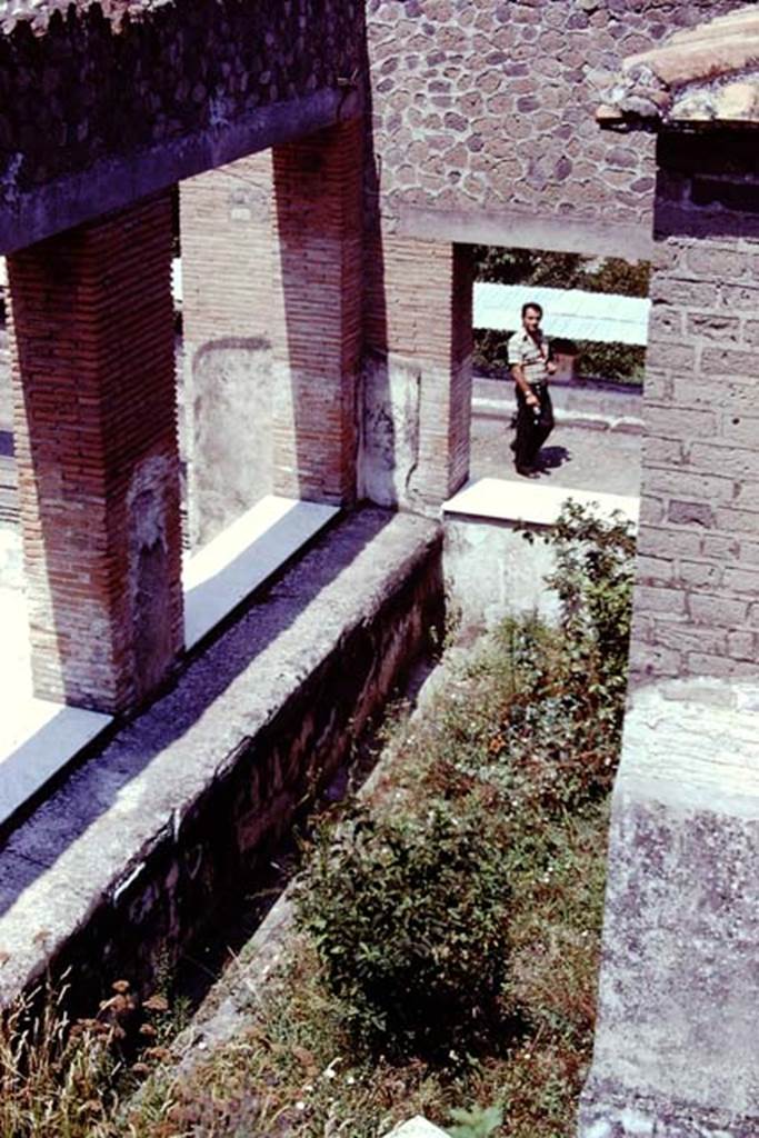 Stabiae, Villa Arianna. 1976. Looking north across sunken garden on the east side of the large exedra or summer triclinium. Photo by Stanley A. Jashemski.
Source: The Wilhelmina and Stanley A. Jashemski archive in the University of Maryland Library, Special Collections (See collection page) and made available under the Creative Commons Attribution-Non Commercial License v.4. See Licence and use details. J76f0512