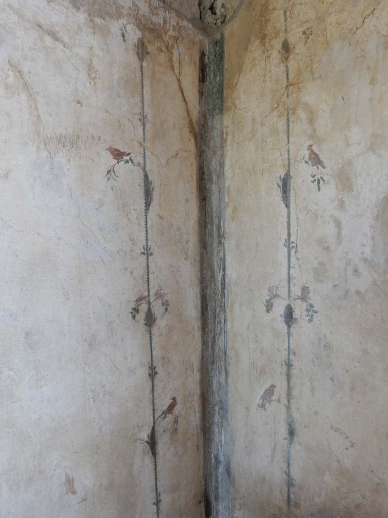 Stabiae, Villa Arianna, June 2019. Room 12, detail from north-west corner.
Photo courtesy of Buzz Ferebee.
