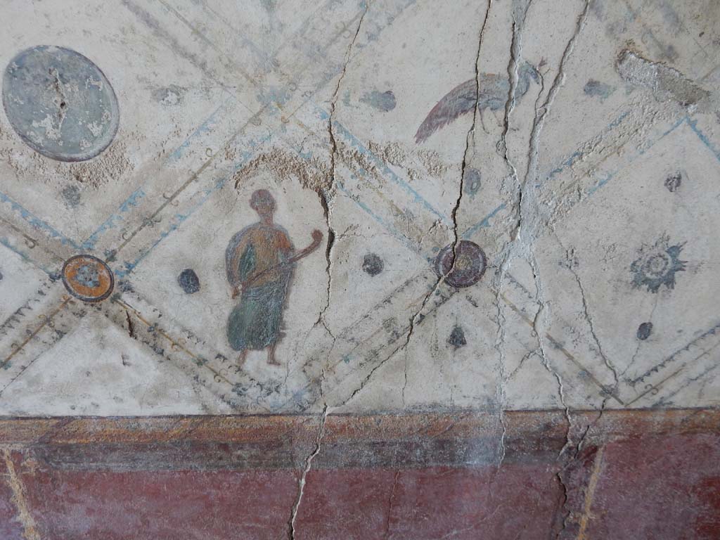 Stabiae, Villa Arianna, June 2019. Room 9, centre of east wall near zoccolo. Photo courtesy of Buzz Ferebee.