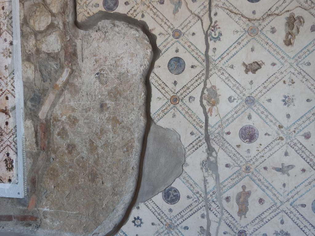Stabiae, Villa Arianna, June 2019. Room 9, detail from west wall. Photo courtesy of Buzz Ferebee.
