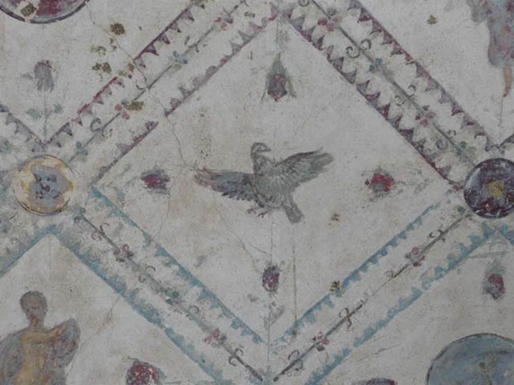 Stabiae, Villa Arianna, May 2010. Room 9, detail of painted bird from west wall. Photo courtesy of Buzz Ferebee.