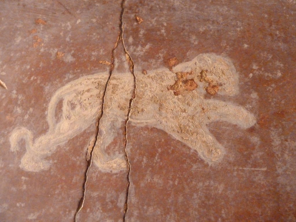 Stabiae, Villa Arianna, September 2015. Corridor 8, painted decoration.