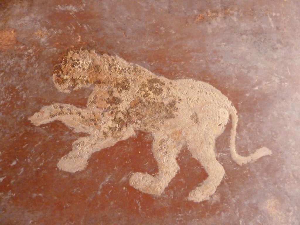 Stabiae, Villa Arianna, September 2015. Corridor 8, painted decoration.