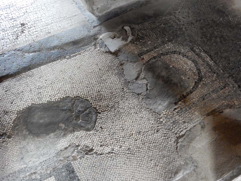 Stabiae, Villa Arianna, June 2019.
Room 5, detail of threshold, with corridor 8, upper left, and mosaic floor of room 10, lower left. Photo courtesy of Buzz Ferebee.