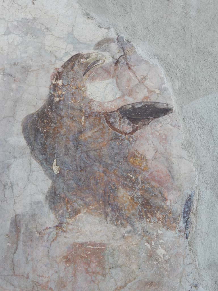 Stabiae, Villa Arianna, June 2019. Room 3, west wall, detail of Zeus in the guise of an eagle.
Photo courtesy of Buzz Ferebee.
