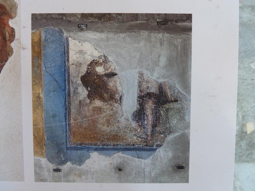 Stabiae, Villa Arianna, September 2015.
Description board showing photo of the painting of Zeus in the guise of an eagle abducting Ganymede, from the west wall.