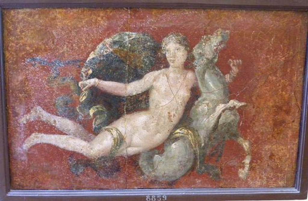 Stabiae, Villa Arianna, found 30th April 1760. Ante camera to room 3, painting of nereid on a sea horse.
Now in Naples Archaeological Museum. Inventory number 8859.
See Pagano, M. and Prisciandaro, R., 2006. Studio sulle provenienze degli oggetti rinvenuti negli scavi borbonici del regno di Napoli. Naples: Nicola Longobardi, p. 245.
See Sampaolo V. and Bragantini I., Eds, 2009. La Pittura Pompeiana. Electa: Verona, p. 449.