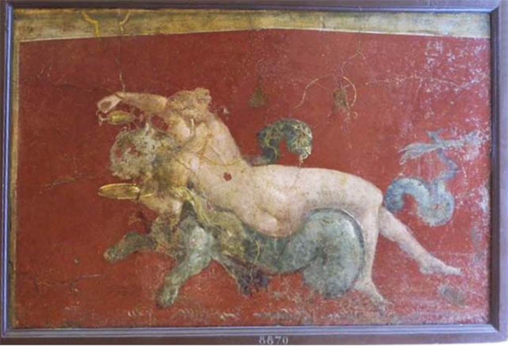Stabiae, Villa Arianna, found 5th April 1760. Ante camera to room 3, painting of nereid on a sea panther.
Now in Naples Archaeological Museum. Inventory number 8870.
See Pagano, M. and Prisciandaro, R., 2006. Studio sulle provenienze degli oggetti rinvenuti negli scavi borbonici del regno di Napoli. Naples: Nicola Longobardi, p. 245.
See Sampaolo V. and Bragantini I., Eds, 2009. La Pittura Pompeiana. Electa: Verona, p. 449.