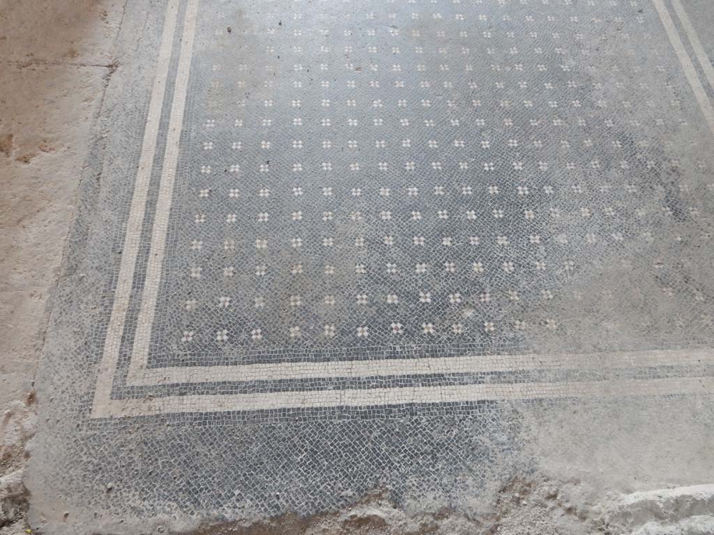 Stabiae, Villa Arianna, June 2019. W30, detail of mosaic flooring in north portico.
Photo courtesy of Buzz Ferebee.