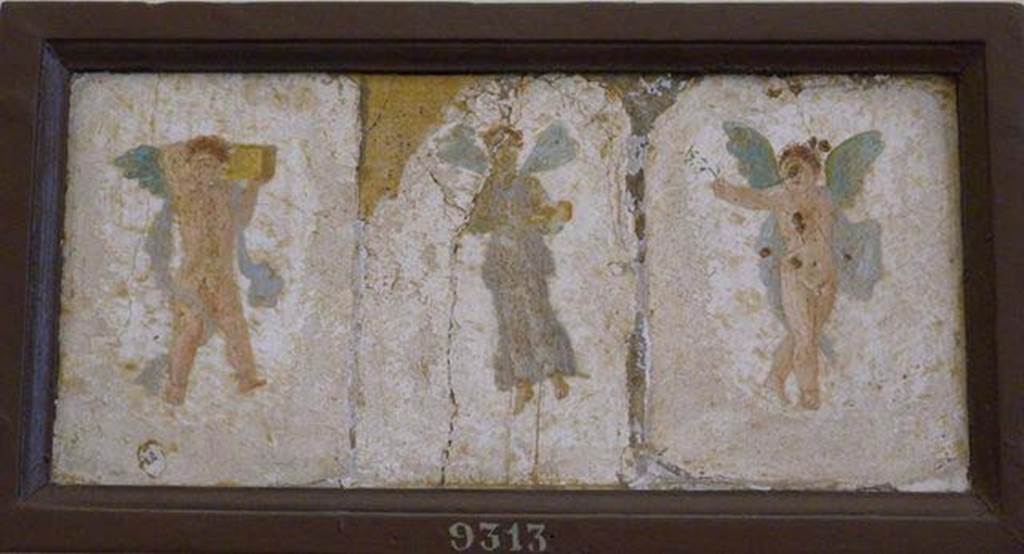 Stabiae, Villa Arianna, found 7th July 1759. Room W.29 or W.30, paintings of three winged figures.
Now in Naples Archaeological Museum. Inventory number 9313.
See Pagano, M. and Prisciandaro, R., 2006. Studio sulle provenienze degli oggetti rinvenuti negli scavi borbonici del regno di Napoli. Naples: Nicola Longobardi, p. 242.
See Sampaolo V. and Bragantini I., Eds, 2009. La Pittura Pompeiana. Electa: Verona, p. 493.
