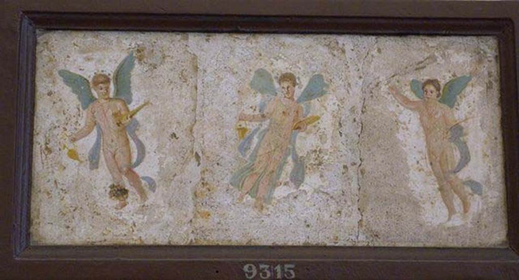 Stabiae, Villa Arianna, found 7th July 1759. Room W.29 or W.30, paintings of three winged figures.
Now in Naples Archaeological Museum. Inventory number 9315.
See Pagano, M. and Prisciandaro, R., 2006. Studio sulle provenienze degli oggetti rinvenuti negli scavi borbonici del regno di Napoli. Naples: Nicola Longobardi, p. 242.
See Sampaolo V. and Bragantini I., Eds, 2009. La Pittura Pompeiana. Electa: Verona, p. 493.