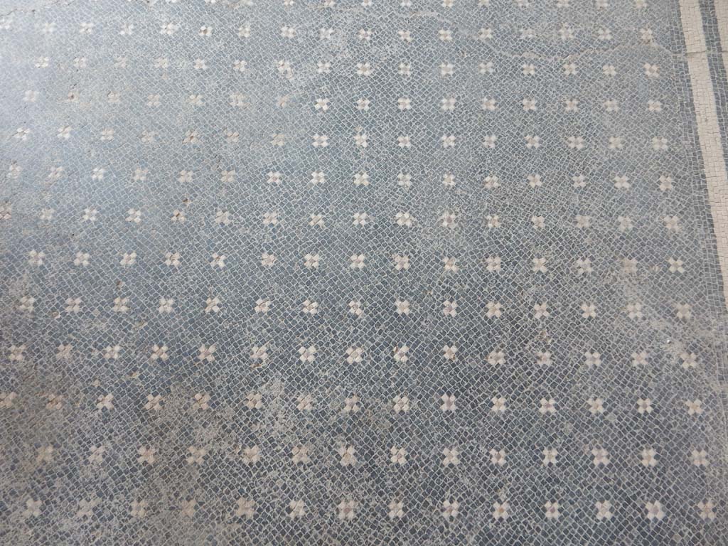 Stabiae, Villa Arianna, June 2019. W30, detail of flooring. Photo courtesy of Buzz Ferebee.