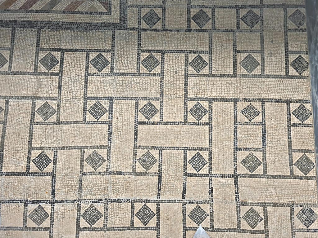 Villa Arianna, Stabia. June 2024.
Black and white mosaic now on display in Room CXXXVI (136) of the first floor of Naples Archaeological Museum.
Detail of floor from room 27 of Villa Arianna, Stabia. Photo courtesy of Giuseppe Ciaramella.
