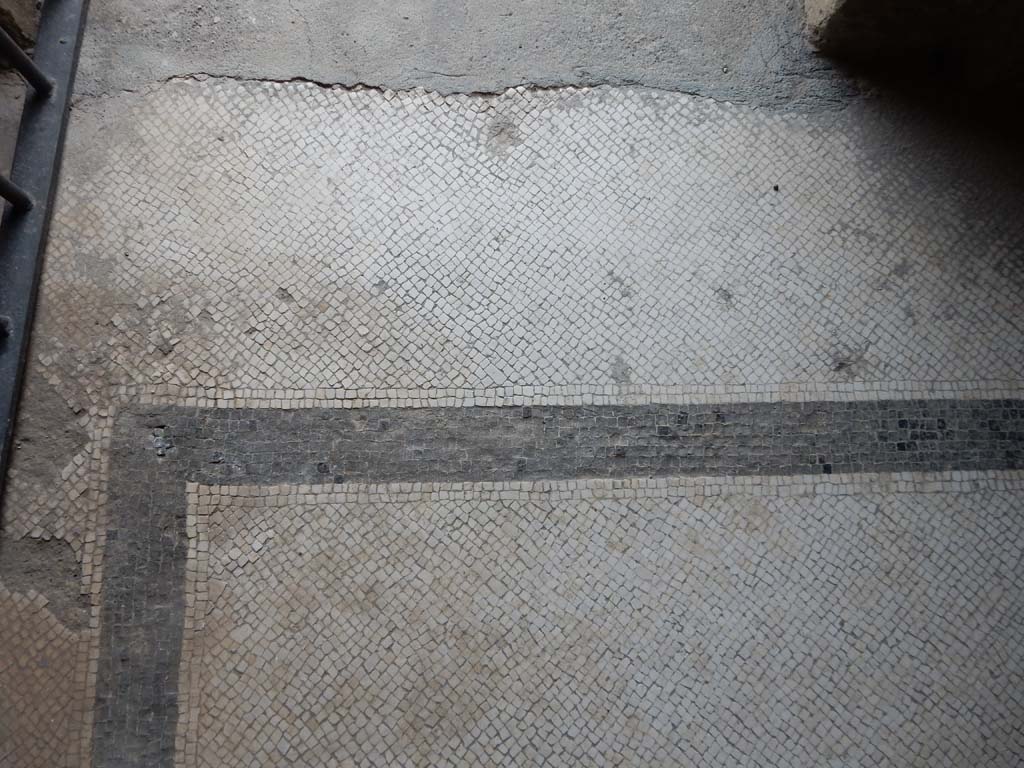 Stabiae, Villa Arianna, June 2019. Room 44, mosaic floor near doorway. Photo courtesy of Buzz Ferebee.