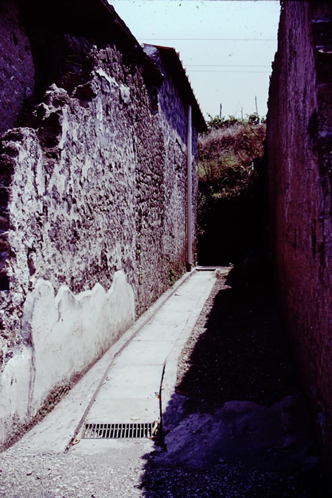 Stabiae, Villa Arianna, 1976.
A small roadway separating the Villa Arianna, from another villa on its east – Villa B, the Second Complex. Photo by Stanley A. Jashemski.
Source: The Wilhelmina and Stanley A. Jashemski archive in the University of Maryland Library, Special Collections (See collection page) and made available under the Creative Commons Attribution-Non Commercial License v.4. See Licence and use details.
J76f0528