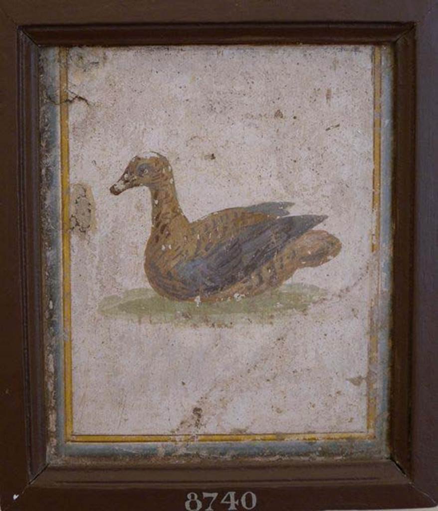 Stabiae, Villa Arianna, found 22nd July 1758. Room W.15. Painting of bird.
Now in Naples Archaeological Museum. Inventory number 8740.
See Pagano, M. and Prisciandaro, R., 2006. Studio sulle provenienze degli oggetti rinvenuti negli scavi borbonici del regno di Napoli. Naples: Nicola Longobardi, p. 242.
See Sampaolo V. and Bragantini I., Eds, 2009. La Pittura Pompeiana. Electa: Verona, p. 491.