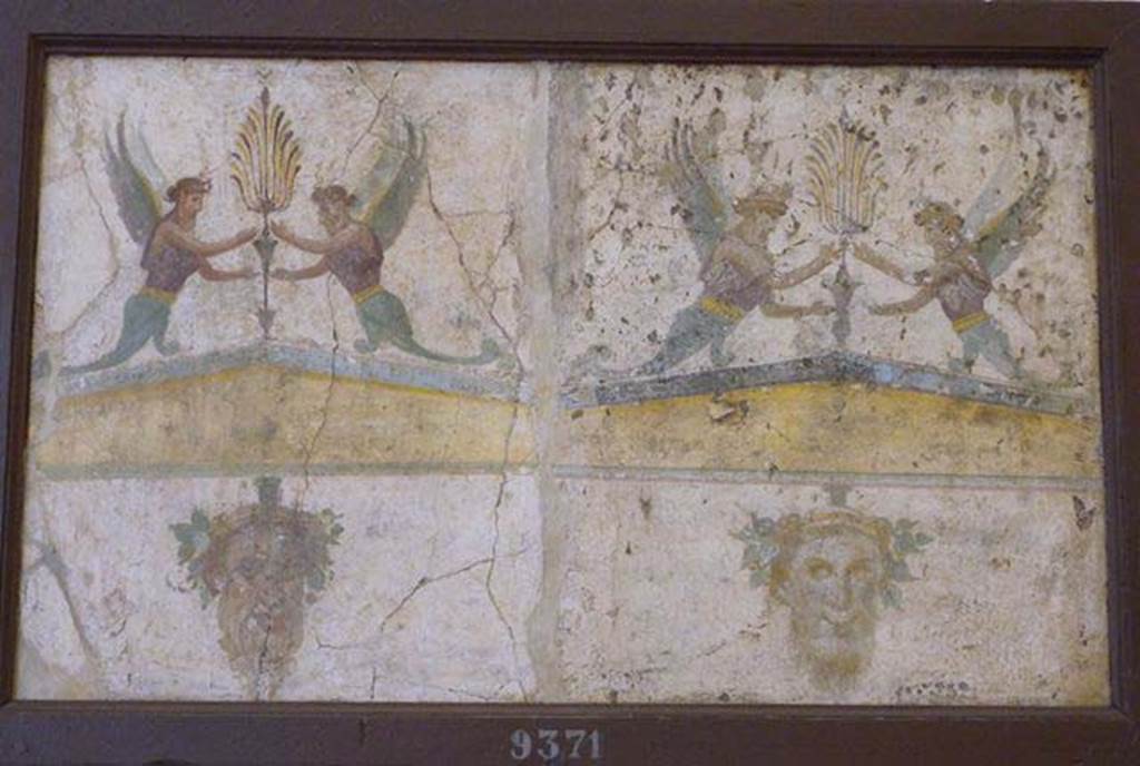 Stabiae, Villa Arianna, found 16th July 1759. Room W.24.
Two separate fragments of wall painting, each with winged figures above a yellow gable below which is a satyr mask.
Now in Naples Archaeological Museum. Inventory number 9371.
See Sampaolo V. and Bragantini I., Eds, 2009. La Pittura Pompeiana. Electa: Verona, p. 485.
See Pagano, M. and Prisciandaro, R., 2006. Studio sulle provenienze degli oggetti rinvenuti negli scavi borbonici del regno di Napoli. Naples: Nicola Longobardi, p. 243.