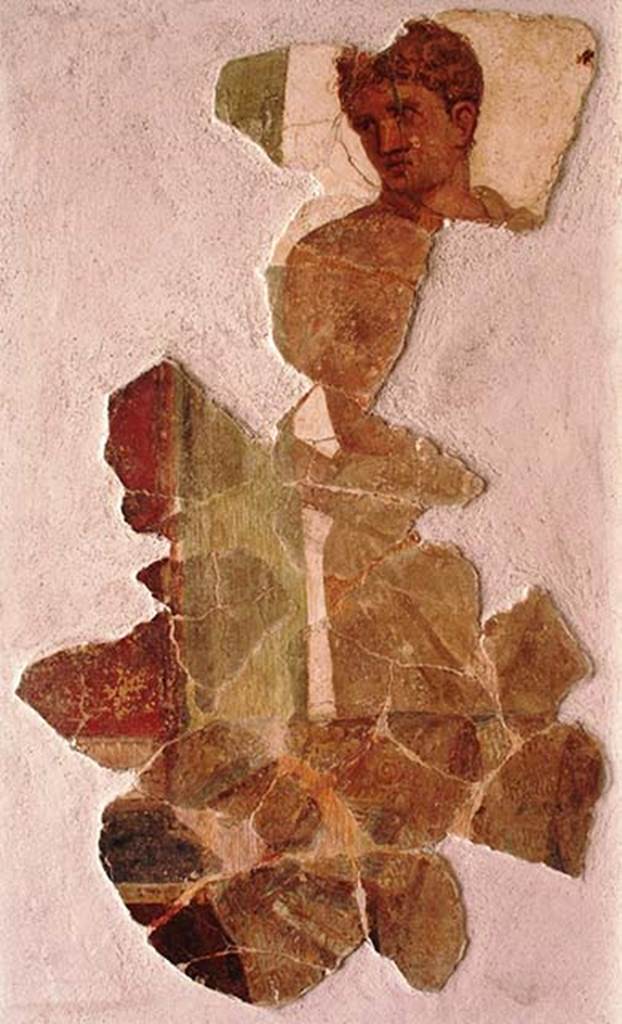 Stabiae, Villa Arianna, found in the excavations of the 1950s in the infill from the Bourbon era excavations.
Painting of Pylades or a young hero. Room location unknown.
Now in Stabia Antiquarium, inventory number 2528.