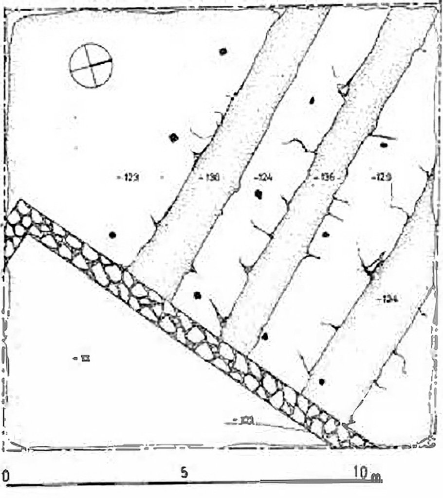 Boscoreale. Villa in the locality of Cangiani. survey of the agricultural land north of the villa, prepared with furrows.
Boscoreale. Villa in Località Cangiani. rilievo del terreno agricolo a nord della villa, preparato a solchi.
See Stefani, G. 2000. La Villa in località Cangiani in Casali di ieri Casali di oggi: Architetture rurali e tecniche agricole nel territorio di Pompei e Stabiae, Mostra 2000. p. 70, Fig. 38.

