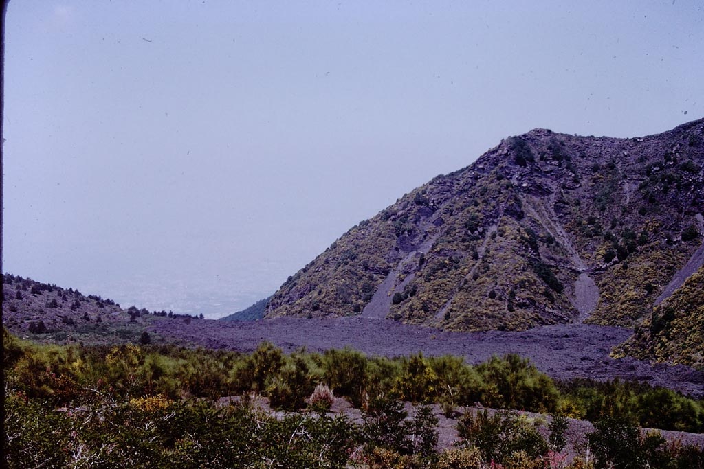 Vesuvius, 1972. Revegetated lava. Photo by Stanley A. Jashemski.
Source: The Wilhelmina and Stanley A. Jashemski archive in the University of Maryland Library, Special Collections (See collection page) and made available under the Creative Commons Attribution-Non-commercial License v.4. See Licence and use details.
J72f0042