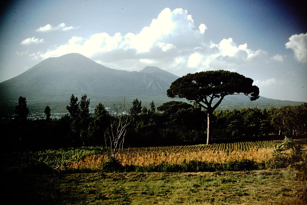 Looking north to Vesuvius. 1959. Photo by Stanley A. Jashemski.
Source: The Wilhelmina and Stanley A. Jashemski archive in the University of Maryland Library, Special Collections (See collection page) and made available under the Creative Commons Attribution-Non-commercial License v.4. See Licence and use details.
J59f0595