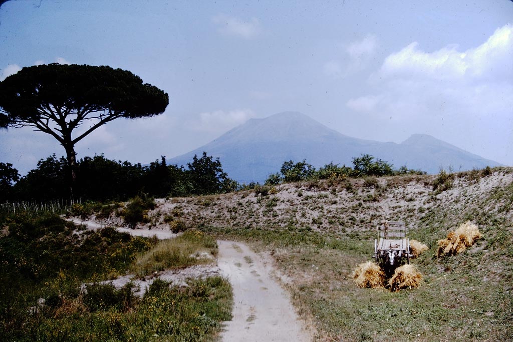 Looking north to Vesuvius. 1964. Photo by Stanley A. Jashemski.
Source: The Wilhelmina and Stanley A. Jashemski archive in the University of Maryland Library, Special Collections (See collection page) and made available under the Creative Commons Attribution-Non-commercial License v.4. See Licence and use details.
J64f1624