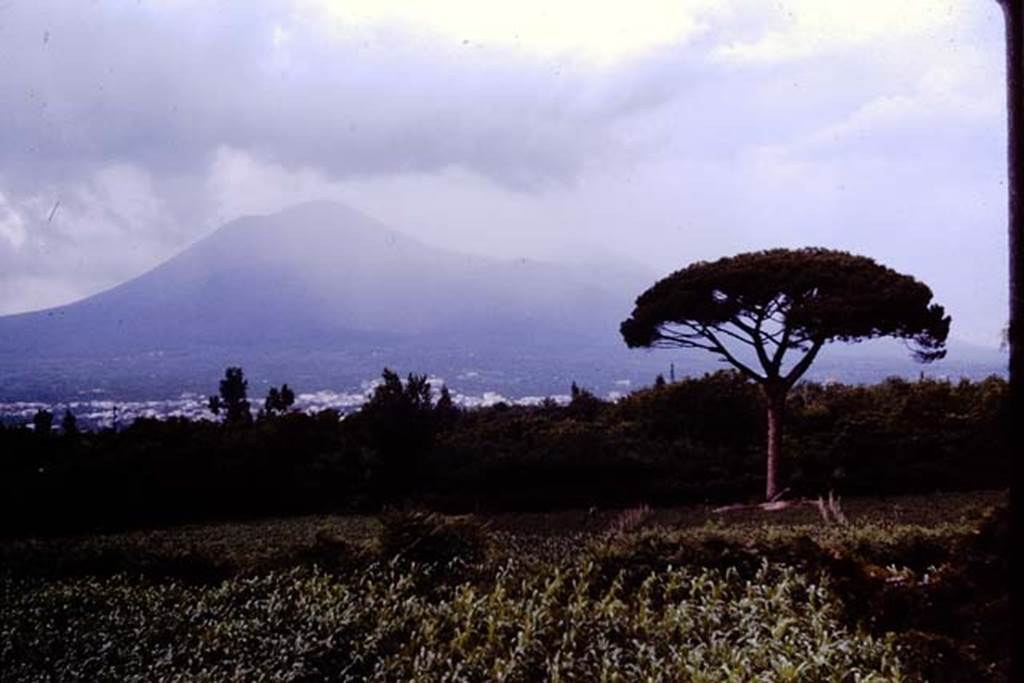Vesuvius. 1964. Photo by Stanley A. Jashemski.
Source: The Wilhelmina and Stanley A. Jashemski archive in the University of Maryland Library, Special Collections (See collection page) and made available under the Creative Commons Attribution-Non-commercial License v.4. See Licence and use details.
J64f1003