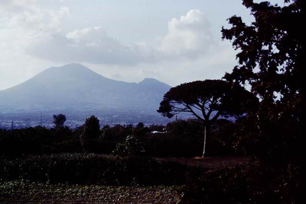 Vesuvius, 1978. Photo by Stanley A. Jashemski.
Source: The Wilhelmina and Stanley A. Jashemski archive in the University of Maryland Library, Special Collections (See collection page) and made available under the Creative Commons Attribution-Non-commercial License v.4. See Licence and use details.
J78f0202