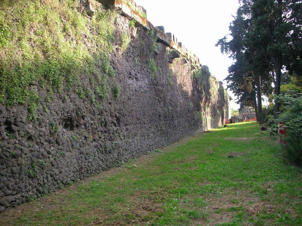 Walls on north side of Pompeii. May 2010. Looking west towards Herculaneum Gate. Photo courtesy of Ivo van der Graaff.