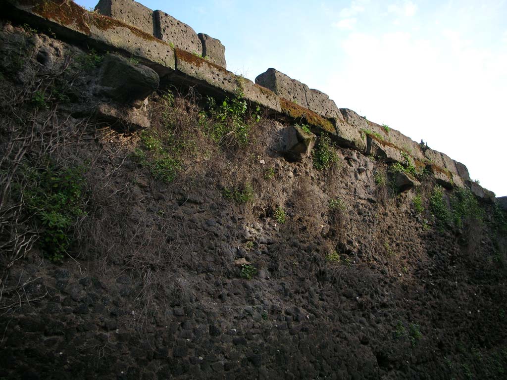 Walls on north side of Pompeii. May 2010. Detail of upper wall. Photo courtesy of Ivo van der Graaff.