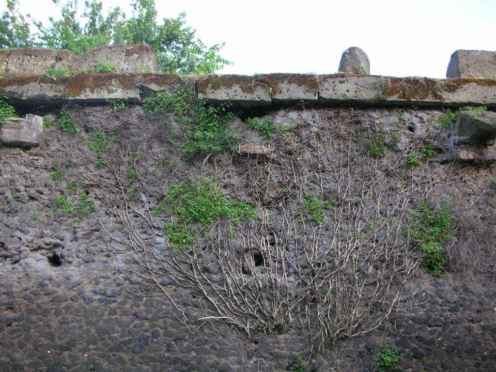 Walls on north side of Pompeii. May 2010. Detail. Photo courtesy of Ivo van der Graaff.