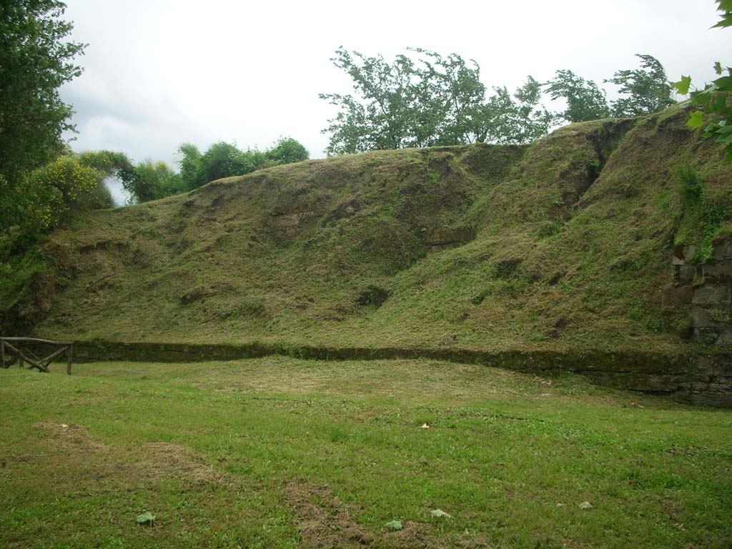 Walls on east side of Pompeii in north-east corner. May 2010.
Looking south-west towards break in walling. Photo courtesy of Ivo van der Graaff.