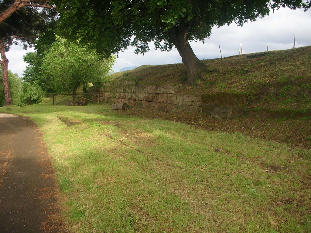 Walls on east side of Pompeii in north-east corner. May 2010.
City Walls on north side of Tower VIII. Photo courtesy of Ivo van der Graaff.