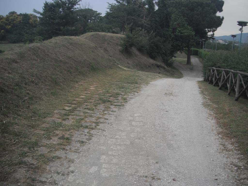Walls on east side of Pompeii in north-east corner. May 2010.
Looking west from near Tower IX. Photo courtesy of Ivo van der Graaff.