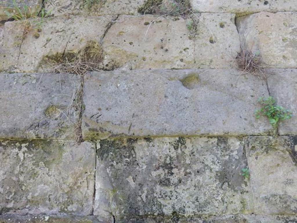 Walls with circular marks near Tower X. May 2015. Photo courtesy of Buzz Ferebee.
Gates%20Walls%20Towers%20Ferebee%20May%202015%20DSCN3185